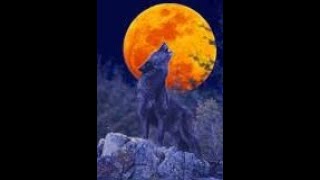 Exclusive!!! Picking the wrong battles