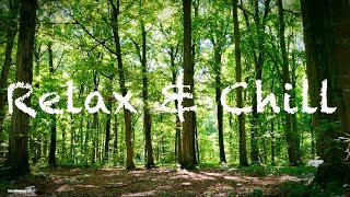 Relax & Chill - Meditation - Forest Vibes 🌳☀️💚 [6 Hours Relax Time] — 4K —