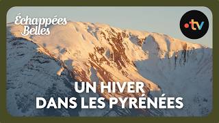 Échappées belles - Un hiver dans les Pyrénées