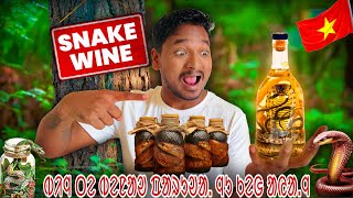BINJ TE BENAO PARUYA NU KEH AAING || I TRIED SNAKE WINE IN VIETNAM #labahansdah