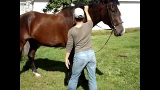 Winning Ways Managment