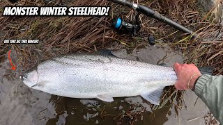 I CAUGHT a MONSTER 20LB Winter Steelhead!