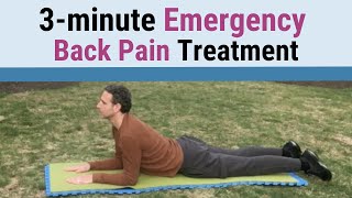3-minute Emergency Back Pain Treatment - 2 Simple Herniated Disc Exercises