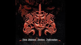 Einzelkämpfer - Ich bin zurück