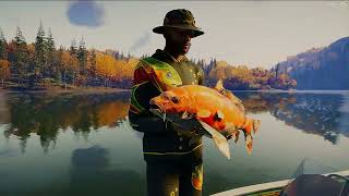 The Angler Diamond Feral Koi (Kamuibetsu Reserve)