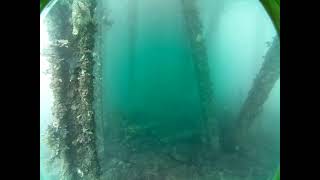Rapid Bay Live by AusOcean 13/03/2023
