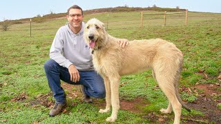 I Finally Rescued My Dream Dog