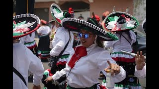 🎉 Why Do Americans Celebrate Cinco de Mayo? | Exploring the Festivities & Cultural Impact!