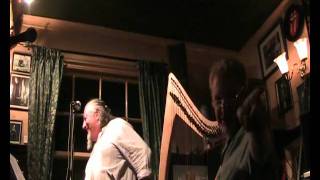 harpist drinks pint with delicately pointed little finger