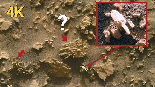 Latest Shocking View of finger-like Rock | NASA's Curiosity Rover Captures the Most Amazing Scene