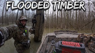 Arkansas Duck Hunt (Season Closes on a BANGER!) | Day 5 Finale