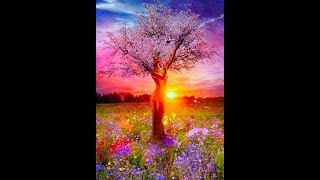 432hz MusicMosaic Sunday ~ 6-30-19