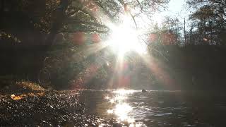 Warmth in the Autumn Sun - 1 hour peaceful sounds by the lake - no music