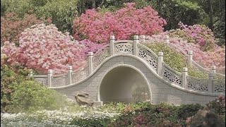 spring playlist - request