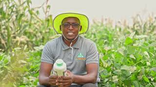 #70 - Why use SEBULA to control weeds in your soya beans