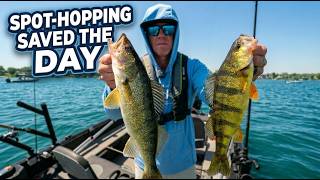 Lake Erie Walleye and Perch: Stop Doing This If You Want More Fish