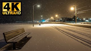 Lonely Night in the Snow – Peaceful Winter Ambience with Falling Snow & Wind Sounds