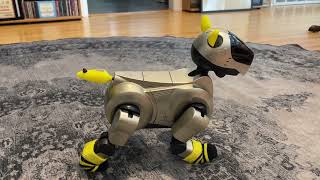 Another Evolution Side 1 (ERS-210 AIBO software) - Styles
