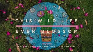 This Wild Life -  What If I Said That You Didn't Have To Stay (Official Audio)