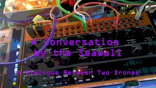 A Conversation by the Seawall - A Dialogue Between Two Drones - Two Behringer Crave Synthesizers