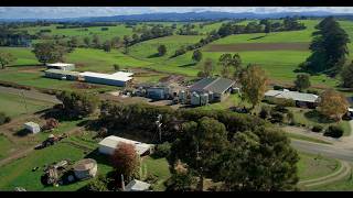 Alba Cheese | Indimax Productions