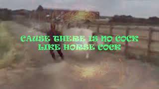 No cock like horse cock (Metal cover)