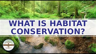 What Is Habitat Conservation?  Tips for conserving habitats