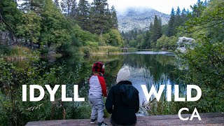 Hiking & Camping in Idyllwild in the San Jacinto Mountains | California