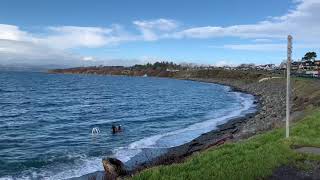 Victoria’s attractions || Clover Point, Easternmost Point, Cattle Point || British Columbia, Canada
