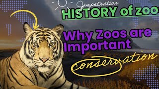 History of zoos: why zoos are important to conservation efforts