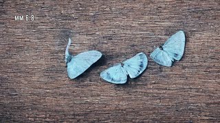 (40 MIN) MACHINE MUSIC 6.8 (Experimental Noise Synth Soundscape)