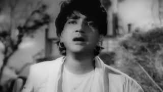 Shabab (1954) - Mahalon Me Rehne Wale Hume Tere Dar Se Kya (महलों में रहने वाले हमें तेरे दर से)