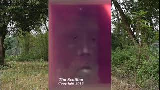 Tim Scullion #GhostPhotographer pt2 #shorts   #paranormal  #chasingthetruth