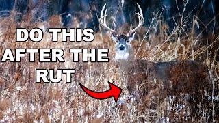 The BEST Strategies To Bag Your Target Buck After the Rut!