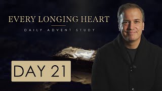 Advent Day 21 | Luke 2:22-38 | Christmas Bible Study