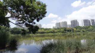 PUNGGOL PARK SINGAPORE