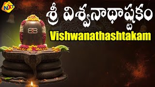 Vishwanathashtakam | శ్రీ విశ్వనాథాష్టకం | Lord Shiva 2025 | Lord Shiva Songs | TVNXT Devotional