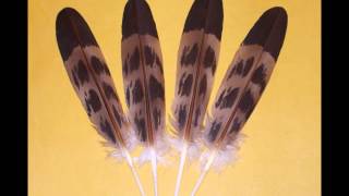 Navajo Peyote Songs (Blackwater Meeting 2004)