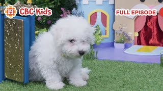 Mittens & Pants | Metamorphobox | CBC Kids
