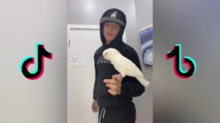 she told me to recline so I had to let back the seat (Tiktok l compilation)