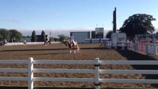 Carl Hester warm up 2