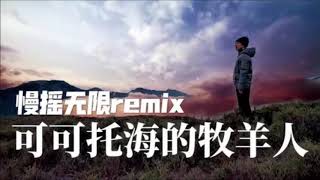 王琪 《可可托海的牧羊人》慢摇无限 2020 Remix
