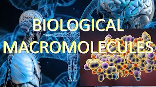 Macrobiological Molecules