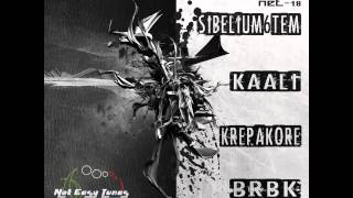 Kaali - Squirting Metal (Not Easy Tunes 018)