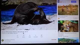Unboxing Mekotronics R58X Rockchip RK3588 Android TV Media Player