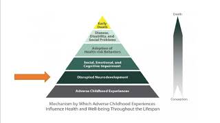 Students’ Psychological Needs and Teacher Behaviors