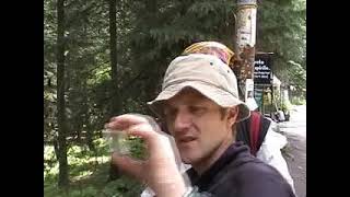 India Leh manali
