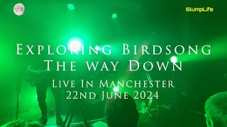 Exploring Birdsong - The Way Down LIVE (The Deaf Institute, Manchester 22nd June 2024)