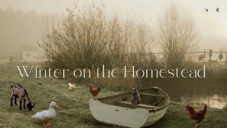 #11 Peaceful Countryside Vlog | Winter Garden Work, Refurbishing Grandpas Old Saw
