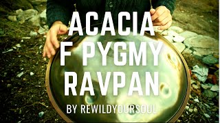Ravpan F Pygmy Handpan "Acacia" Song from Lunaria Album